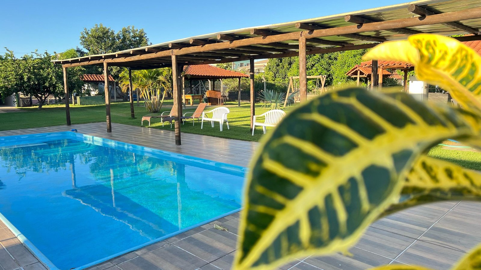 WhatsApp Image 2025-11-17 at 12.46.30 (2)